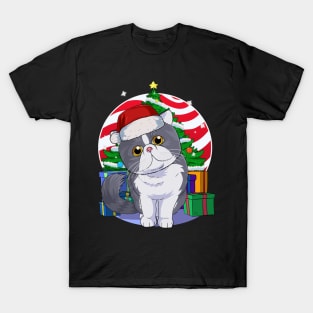 Cute Exotic Shorthair Cat Santa Claus Christmas T-Shirt